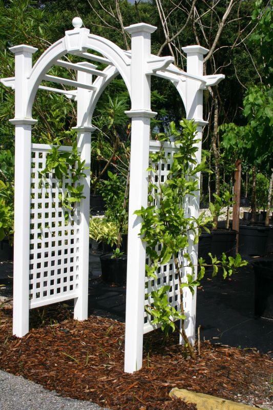 Lattice Arbor Installation